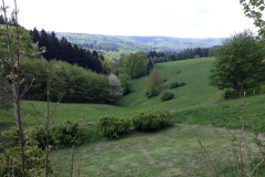 20180503_105952