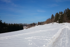 LanglaufRothaarloipeLangewiese_2
