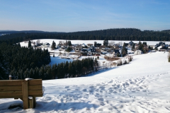LanglaufRothaarloipeLangewiese_3