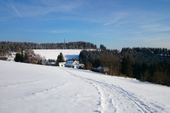 LanglaufRothaarloipeLangewiese_4